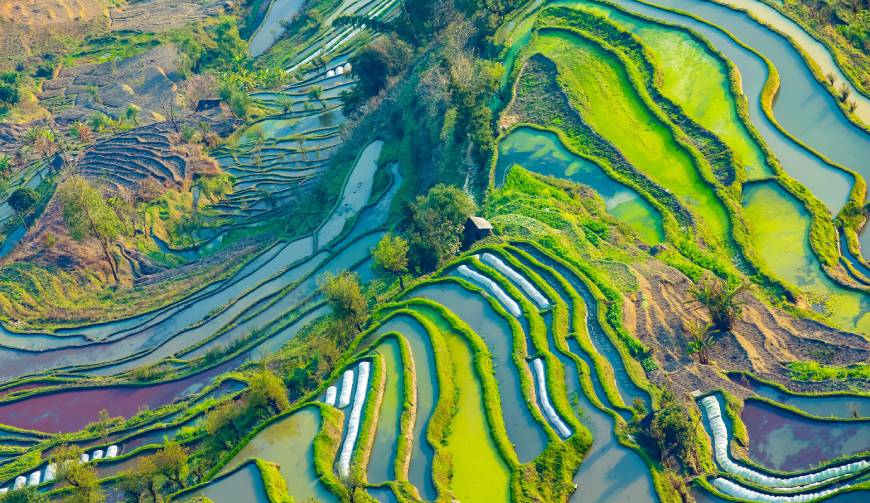 走进洪山区TVC拍摄：解锁本地化场景与创意镜头的完美融合